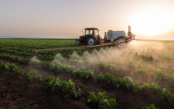 Pest Prevention Services in Henry, IL