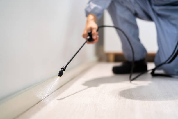 Pest Control for Restaurants in Henry, IL