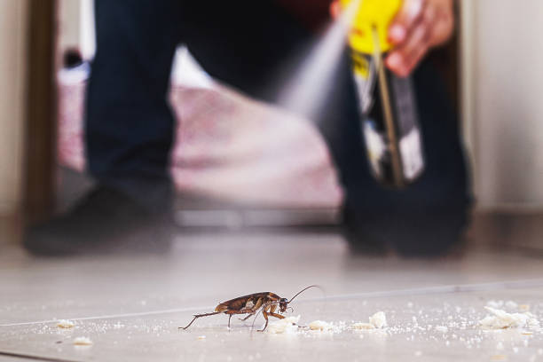 Best Exterminator Services  in Henry, IL