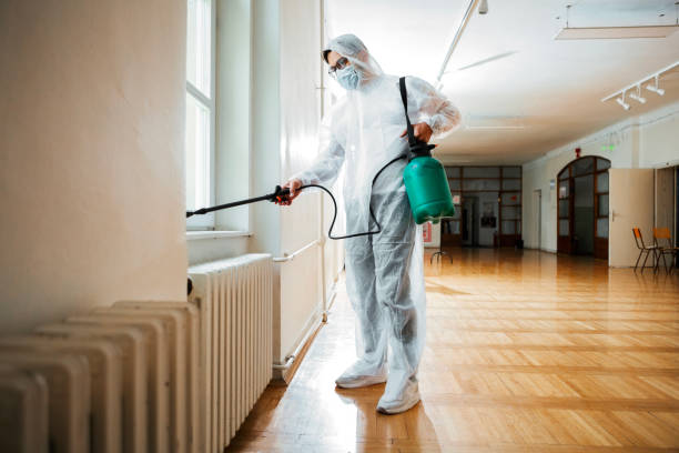 Best Pest Prevention Services  in Henry, IL